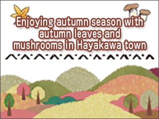 Course for enjoying autumn season with autumn leaves and mushrooms in Hayakawa town