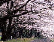 草塩集落・長寿苑前