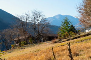 庭からの眺め（七面山）