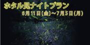 イベント「ホタル見ナイト」　野鳥公園