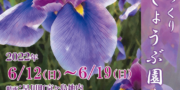 初夏を告げる花しょうぶ園まつり  〜京ヶ島〜